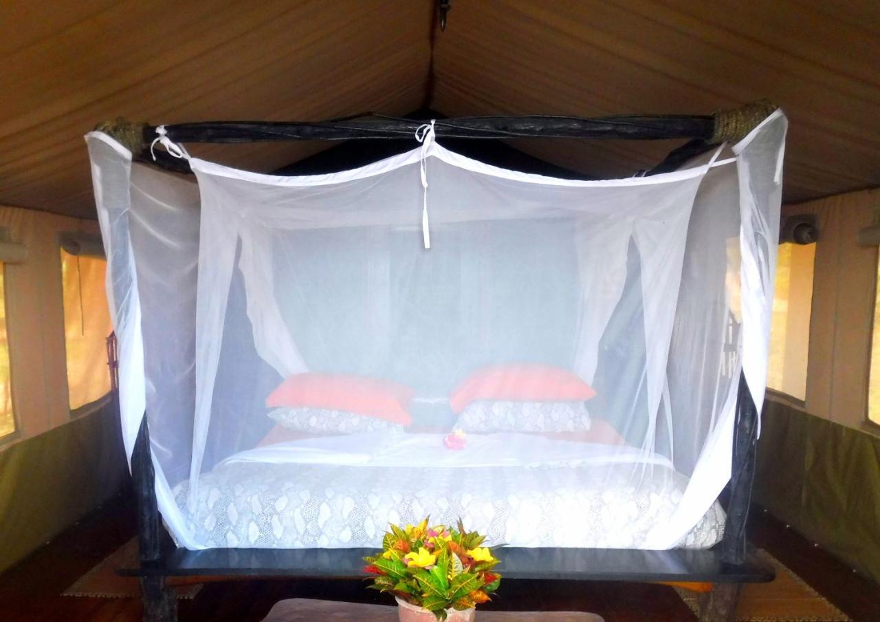 Shimba Hills Green Safari Lodge Kwale Екстериор снимка